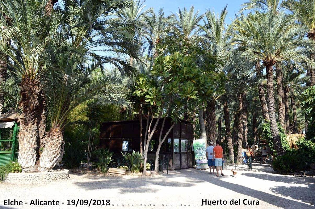 19 ELCHE HUERTO DEL CURA (11).JPG